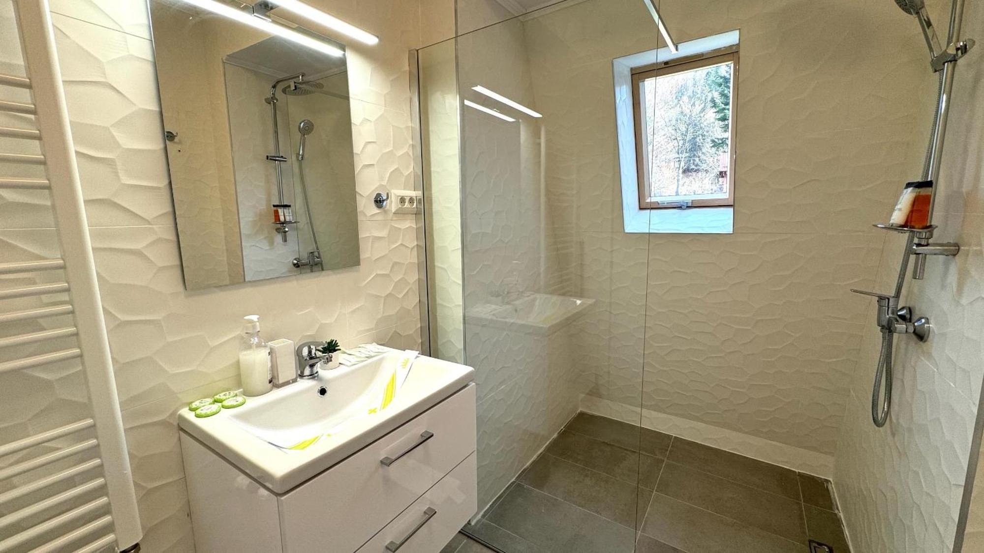 Busteni Mountain View Suites By The River - Ev Plug المظهر الخارجي الصورة