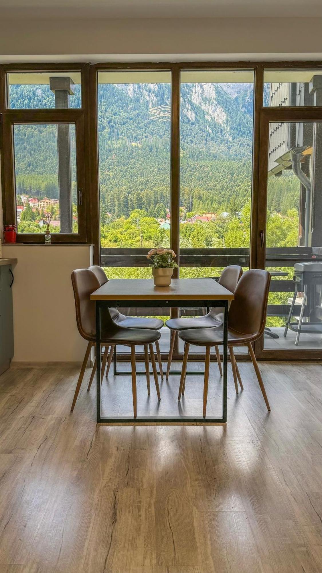 Busteni Mountain View Suites By The River - Ev Plug المظهر الخارجي الصورة
